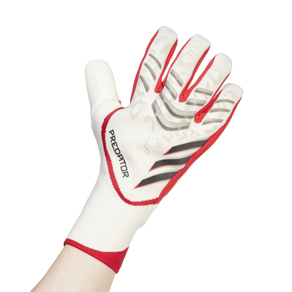 Gants de gardien Predator Pro