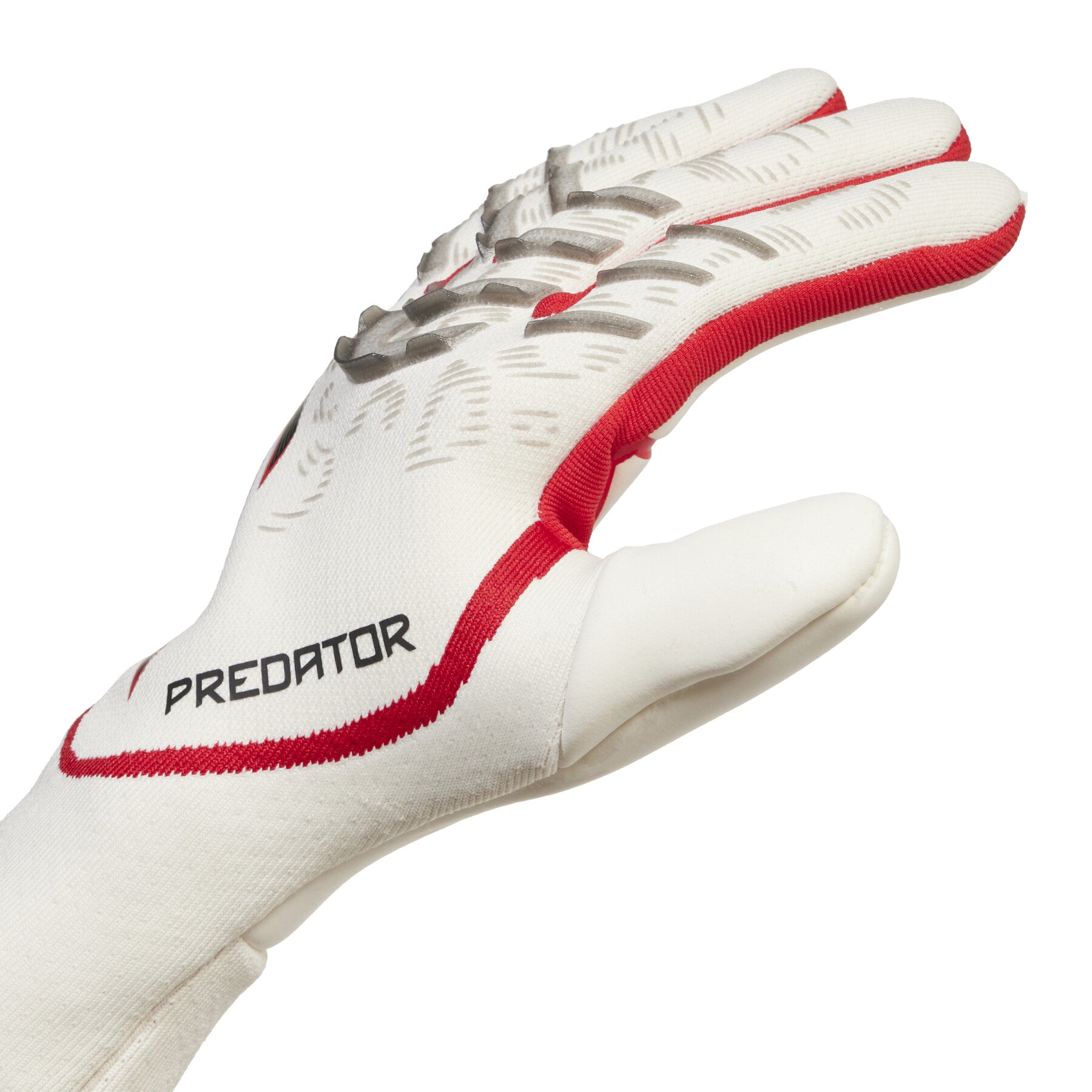 Gants de gardien Predator Pro