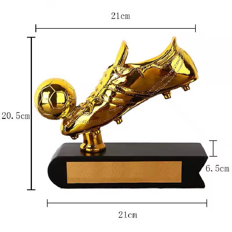 Coupe Meilleur joueur - butteur de la compétition